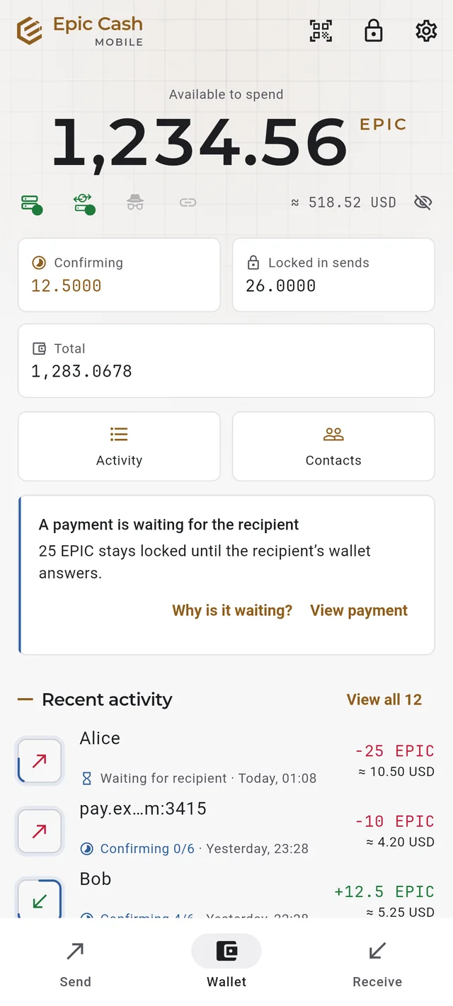 Epic Cash Mobile: the Home screen with the balance and recent activity