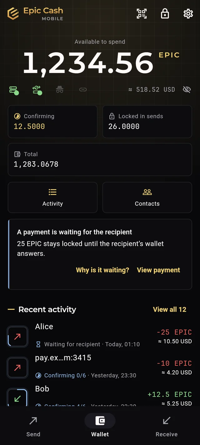 Epic Cash Mobile: the Home screen with the balance and recent activity